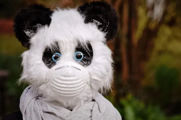 Pronto Casino Podrška